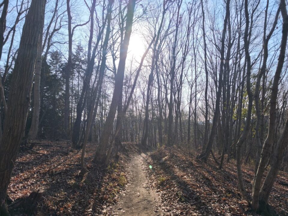 長瀞アルプス登山道