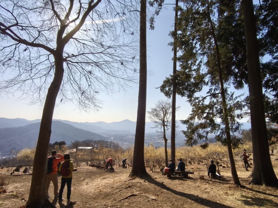 宝登山　山頂部