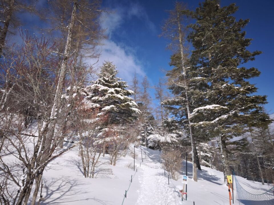 入笠山登山口近く