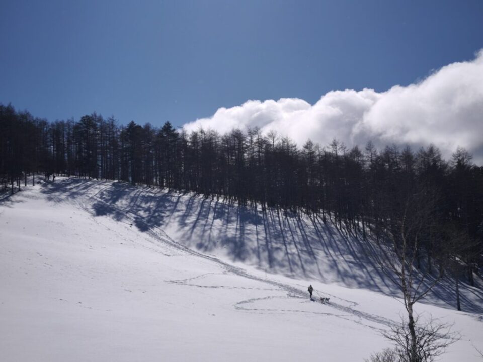 入笠湿原