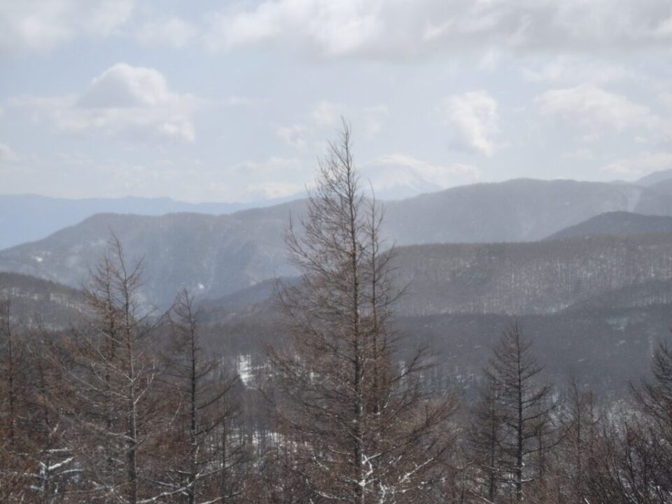 入笠山山頂から富士山