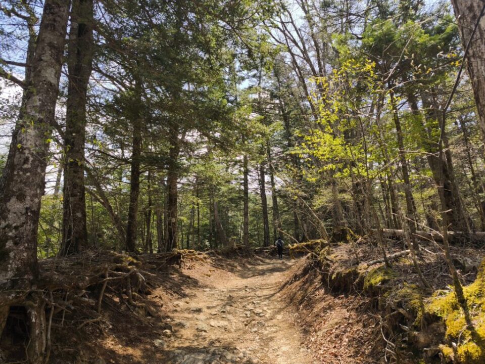 三ッ峠の登山道