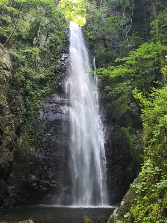 川苔山の百尋ノ滝
