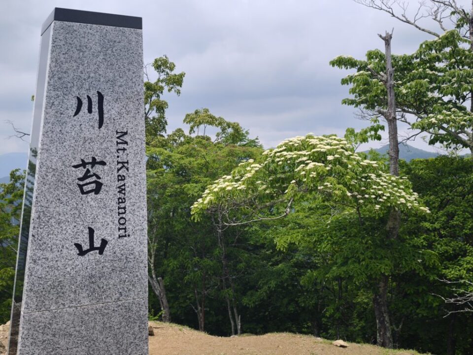 川苔山山頂