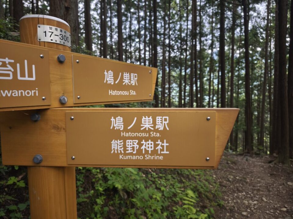 川苔山登山道の分岐