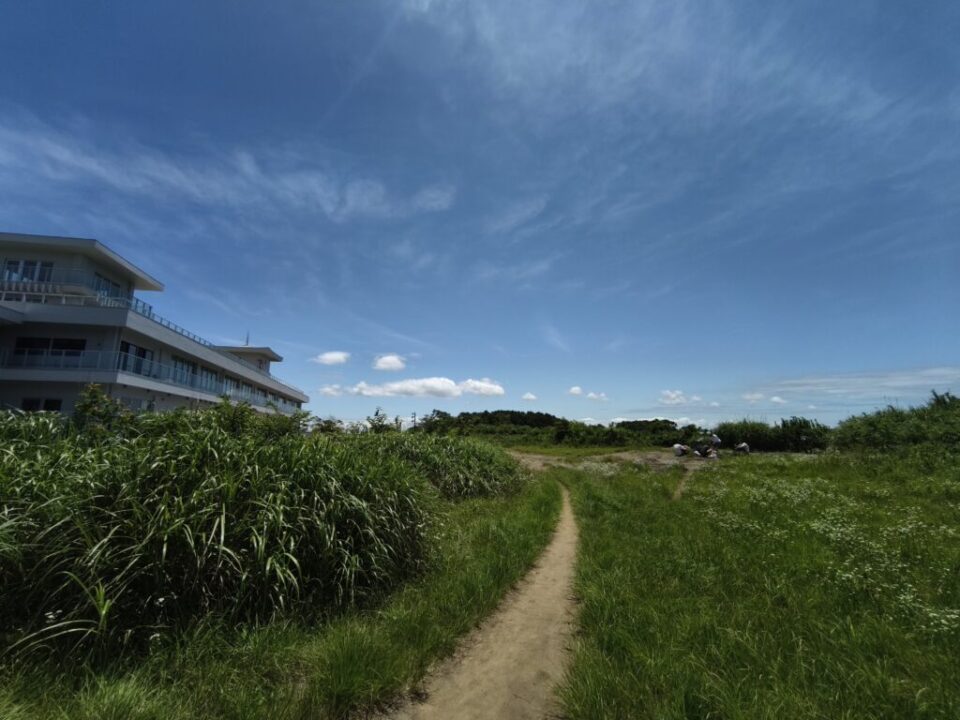 大平山山頂部