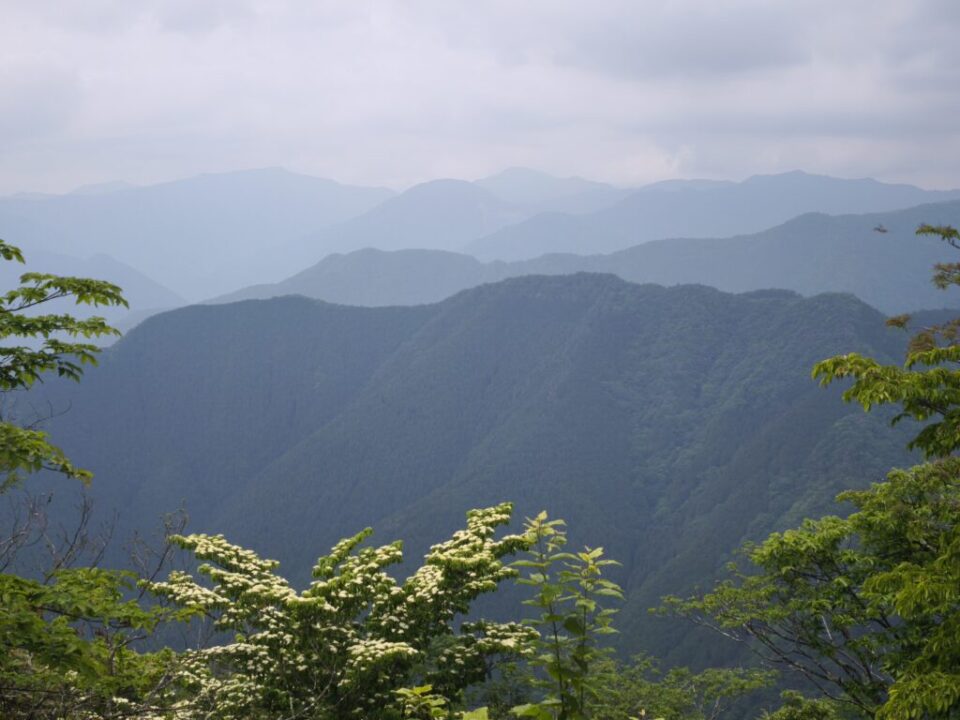 川苔山山頂から雲取山方面