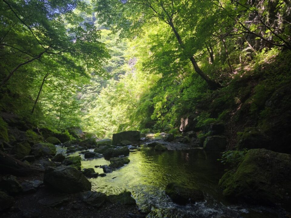 川苔山百尋ノ滝近く