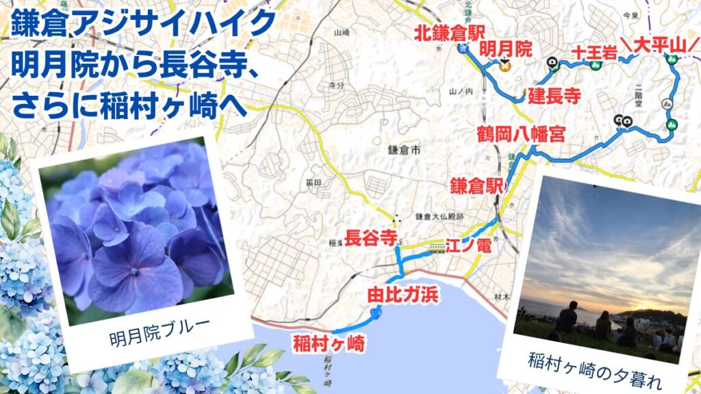 鎌倉のアジサイハイク マップ