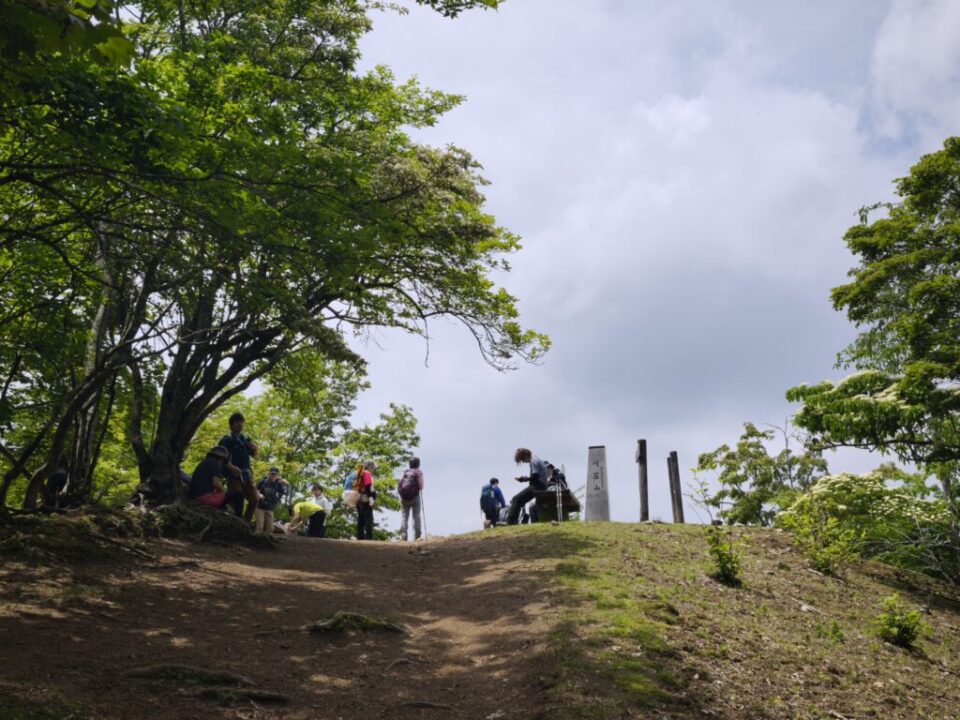 川苔山山頂部