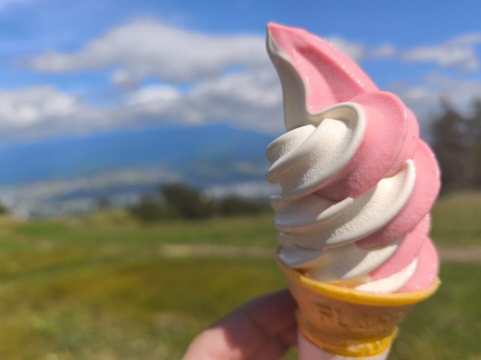 山頂カフェのソフトクリーム