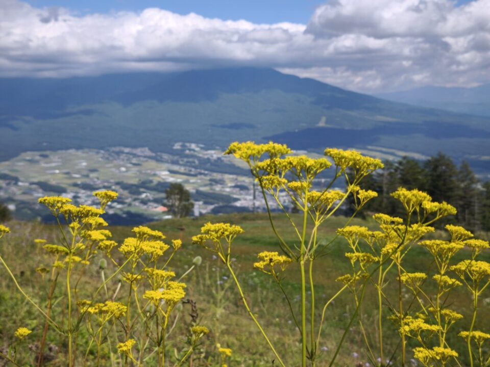 入笠山ゴンドラ山頂駅周辺