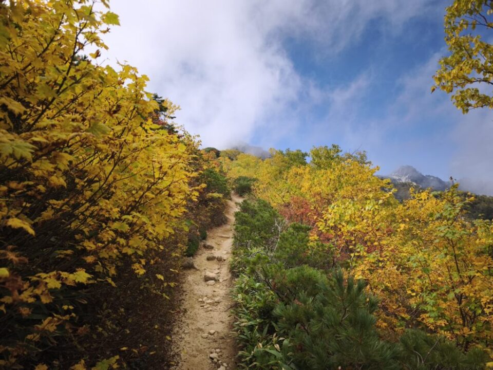 燕岳登山路