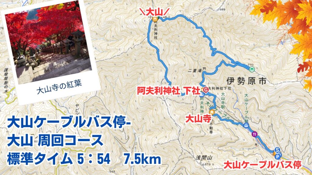 紅葉の大山　マップ