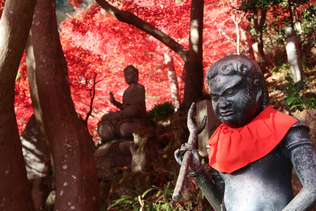 大山寺の紅葉