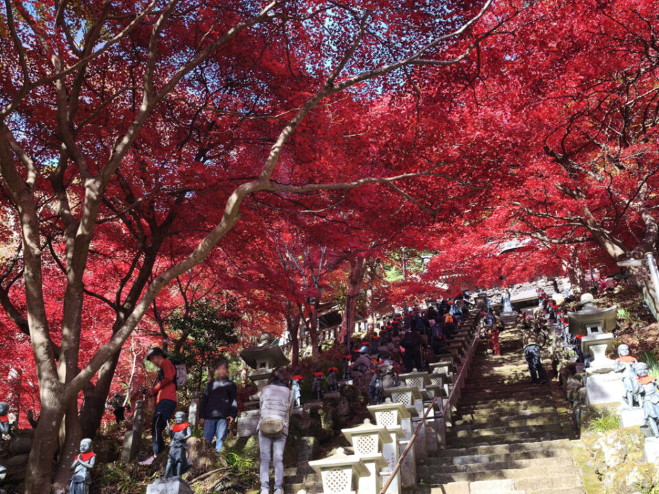 大山寺の紅葉