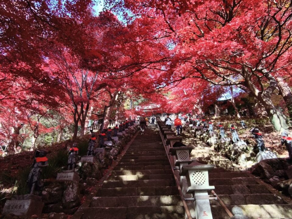 大山寺の紅葉