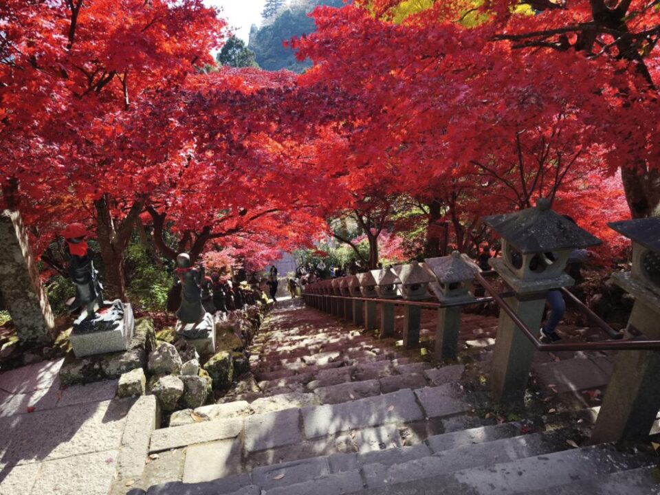 大山寺の紅葉