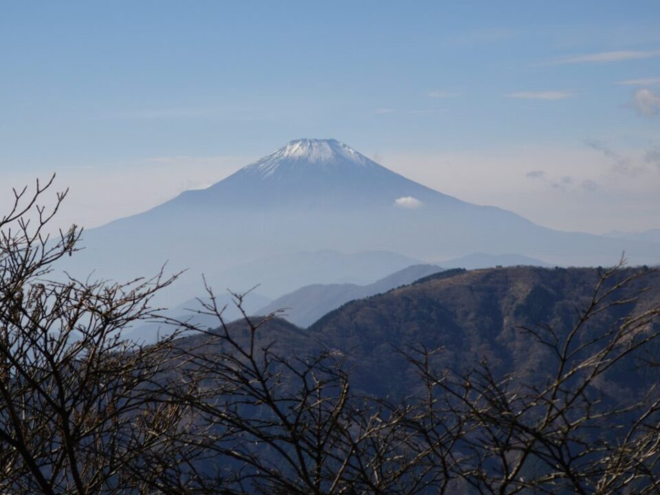 大山登山道から富士山