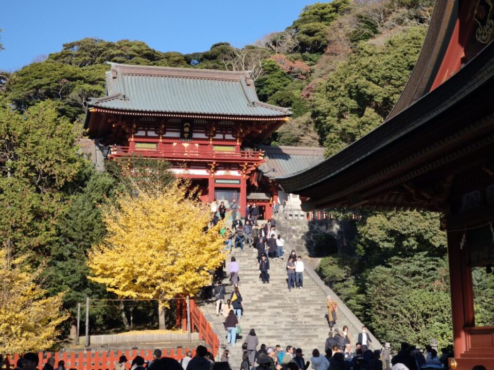 鶴岡八幡宮