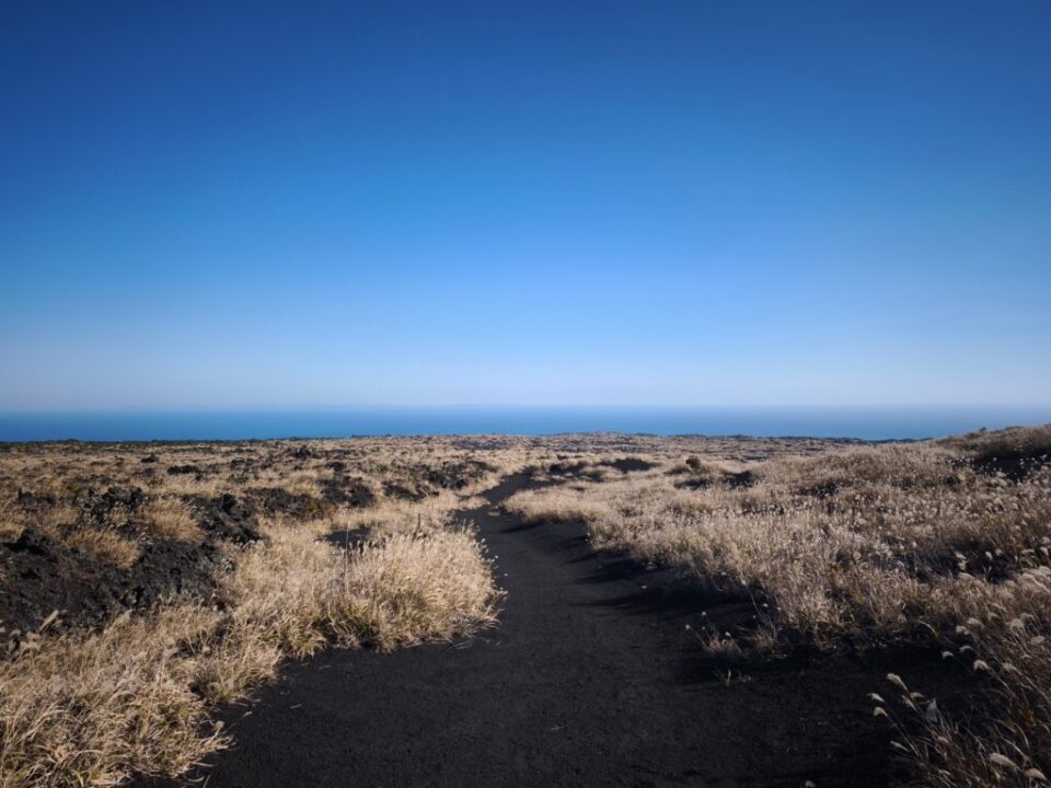 テキサスコース