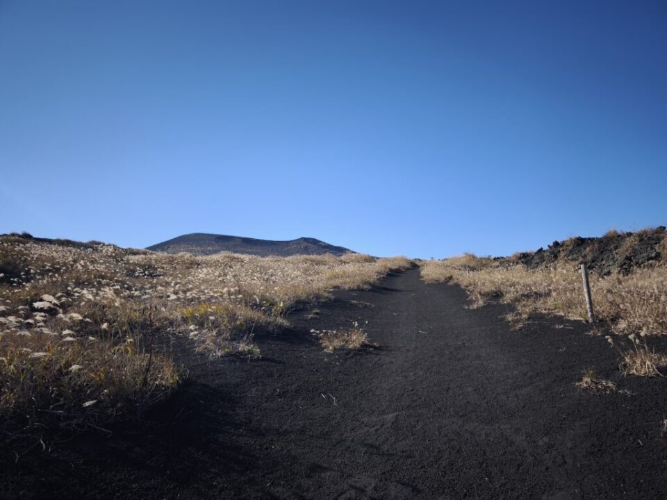 テキサスコース