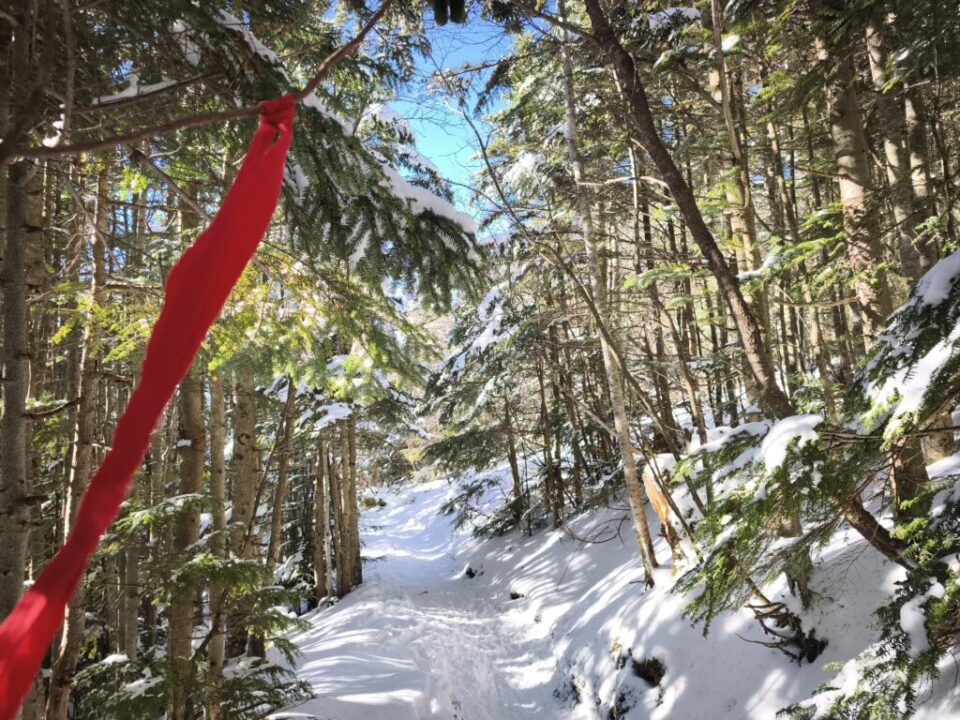 登山道の印とトレース