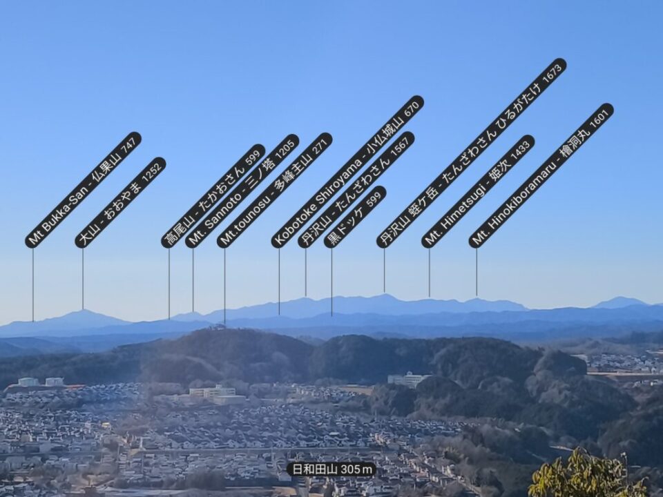 日和田山から丹沢