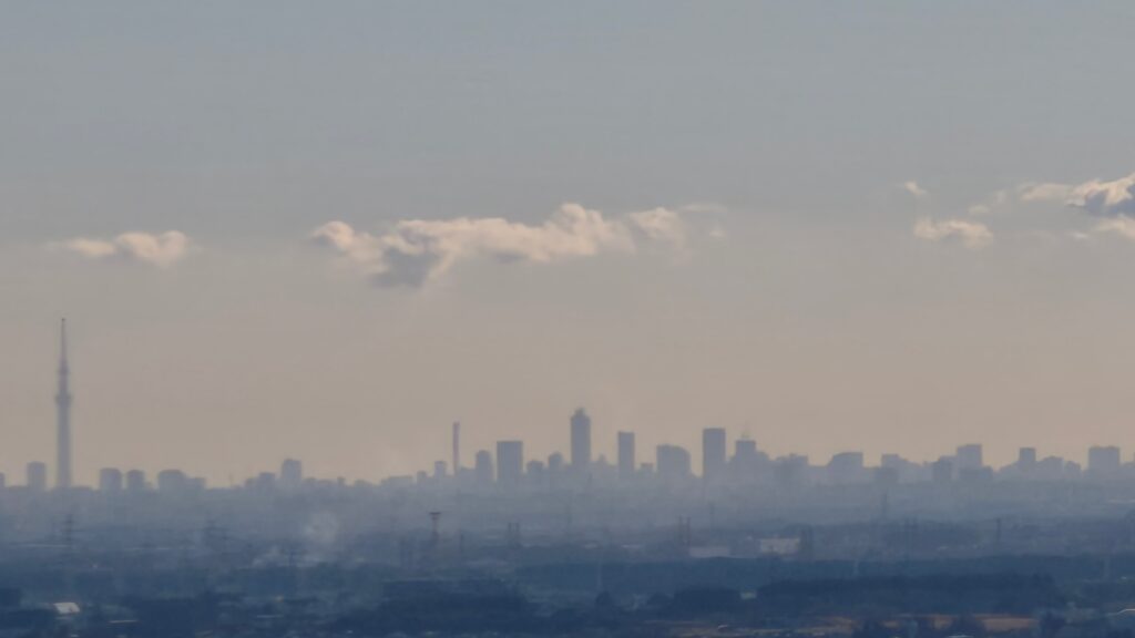 日和田山頂から東京