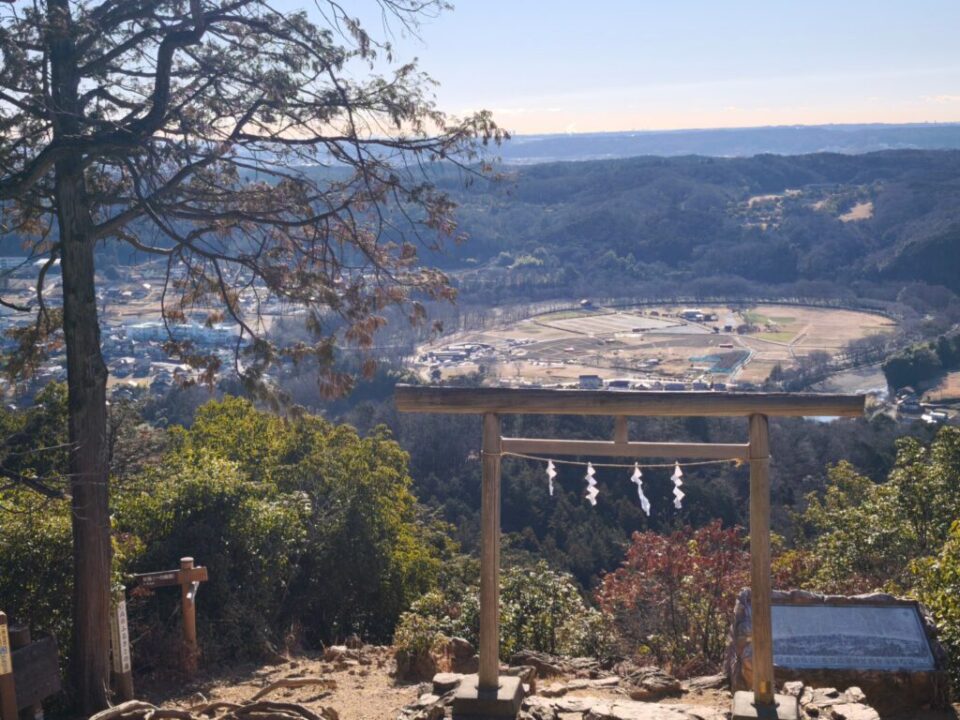 日和田山からの眺め