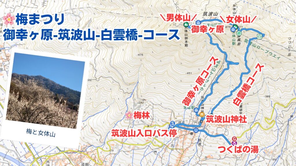 筑波山ハイキング　マップ