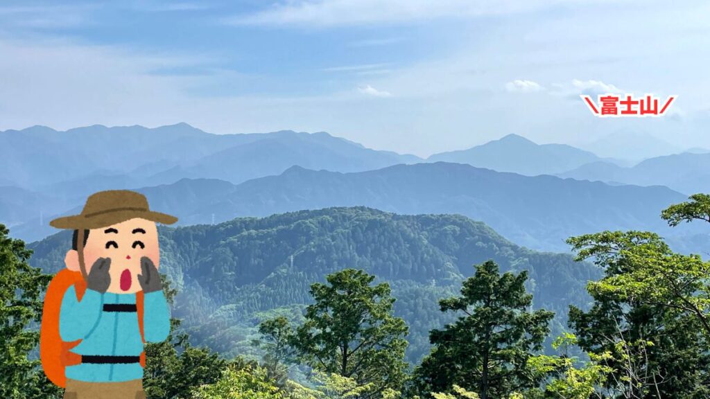 高尾山頂から富士山
