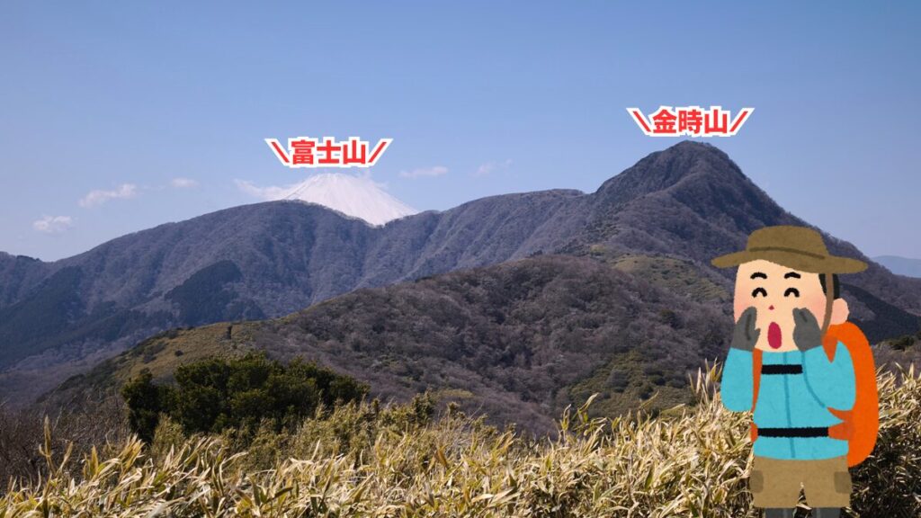 富士山と金時山