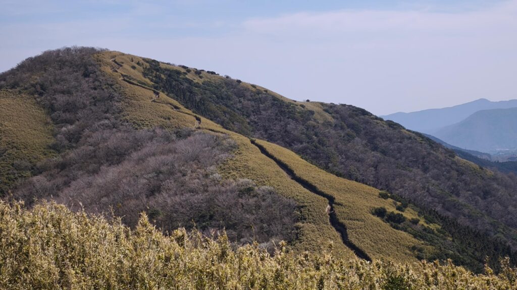明神ヶ岳への防火帯