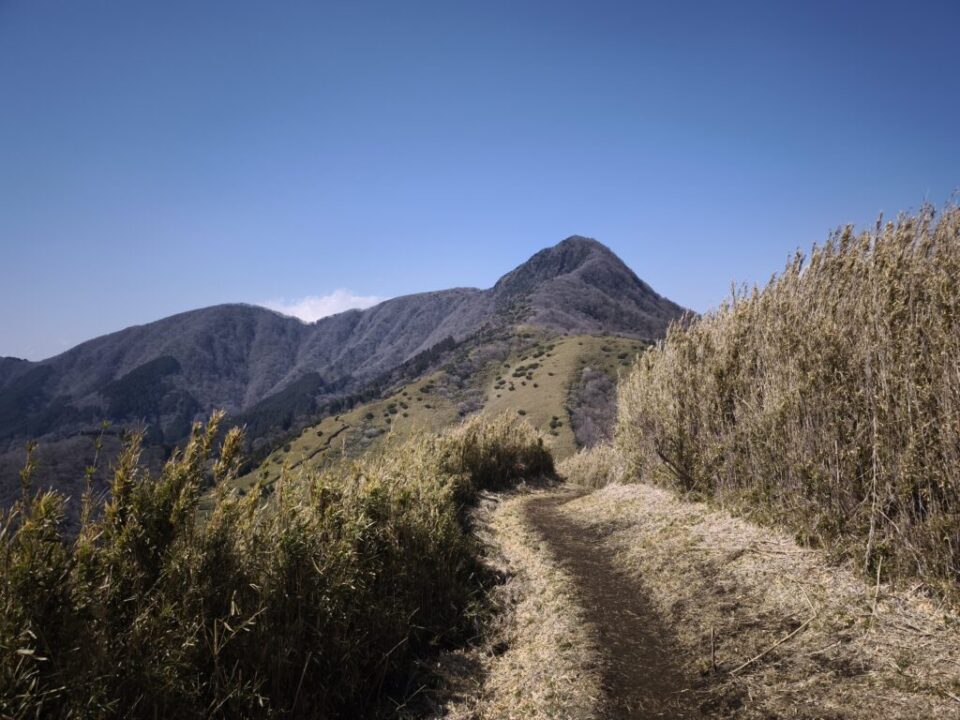 金時山への稜線