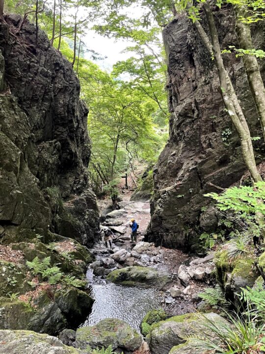 棒ノ折山のゴルジェ