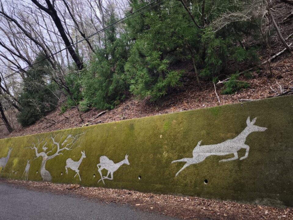 奥武蔵グリーンラインの苔アート