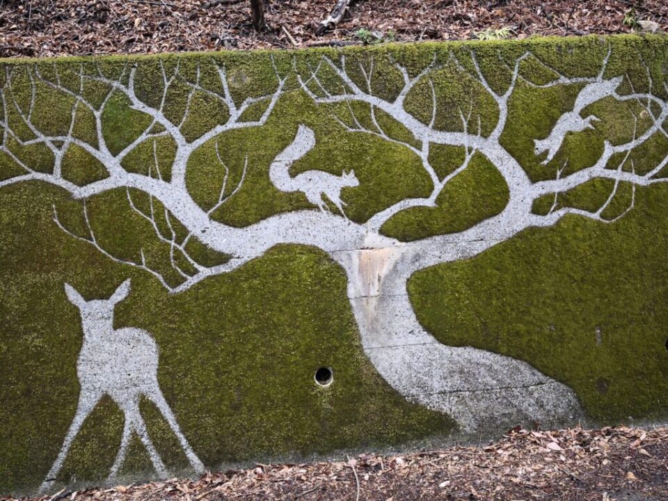 奥武蔵グリーンラインの苔アート