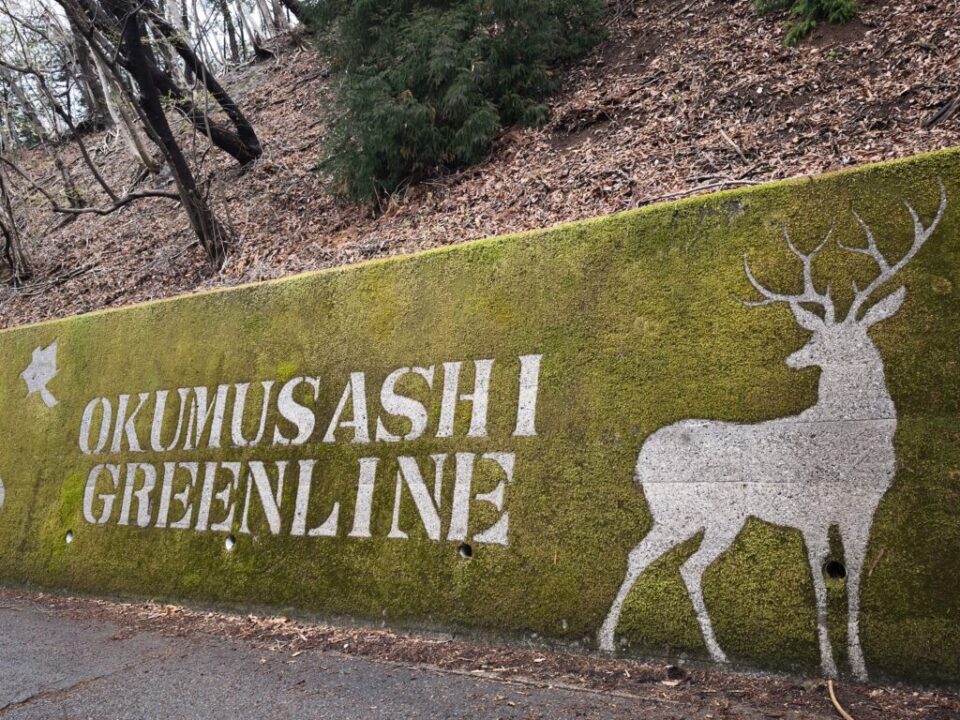 奥武蔵グリーンラインの苔アート