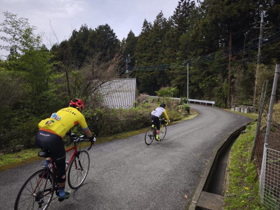 八徳の一本桜への下り道