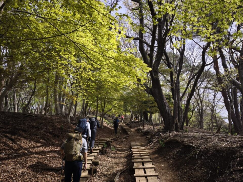 馬鹿尾根登山道