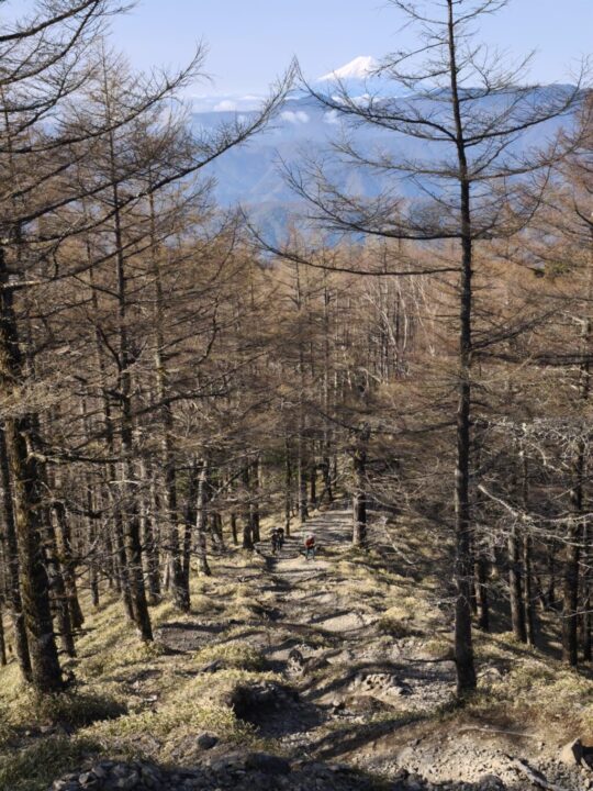石尾根の急登