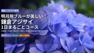 eyecatch_kamakura_ajisai_