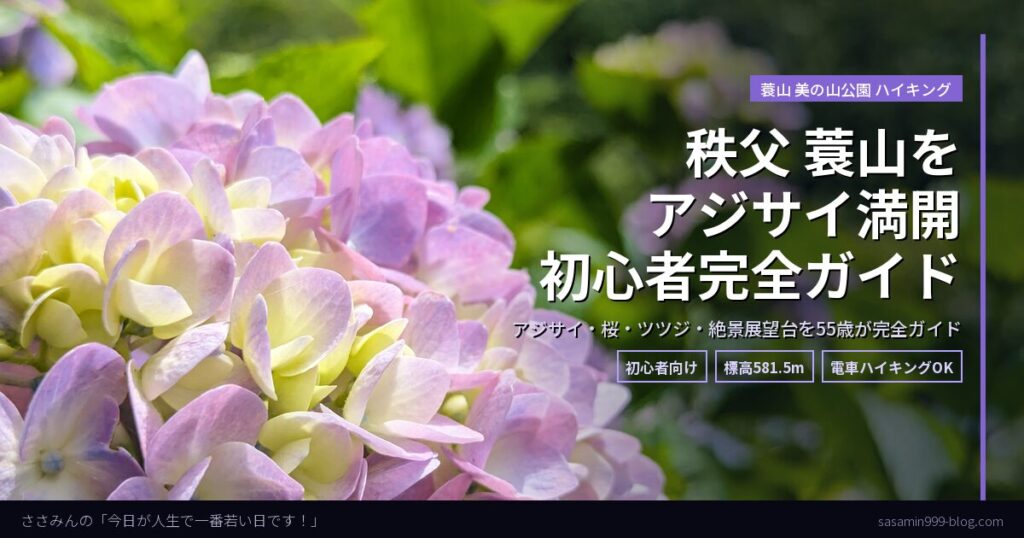 eyecatch_minoyama