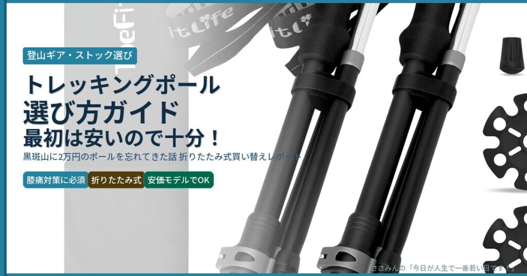 eyecatch_trekking_pole