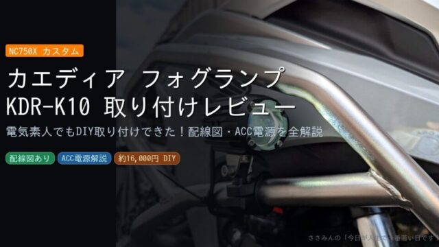 カエディア フォルグライトアイキャッチ