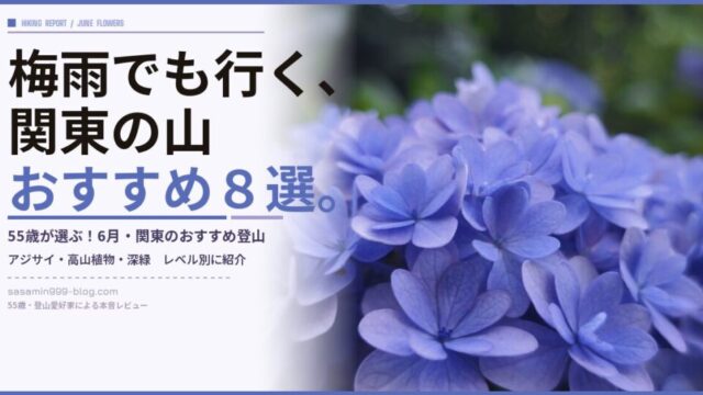 eyecatch_ajisai