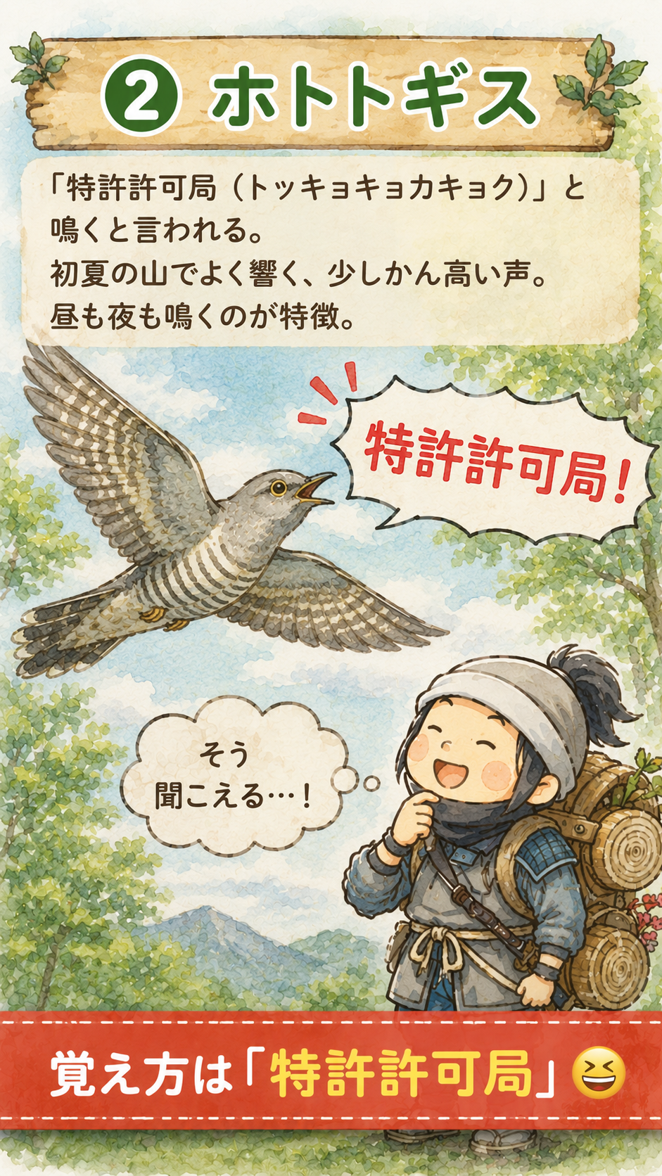 ホトトギスの鳴き声を特許許可局で覚えるイラスト
