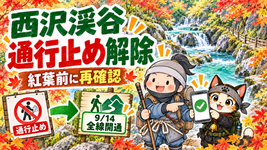 西沢渓谷の通行止め解除を確認し、紅葉ハイキング前に最新情報を見る忍者ハイカーと忍者ネコ